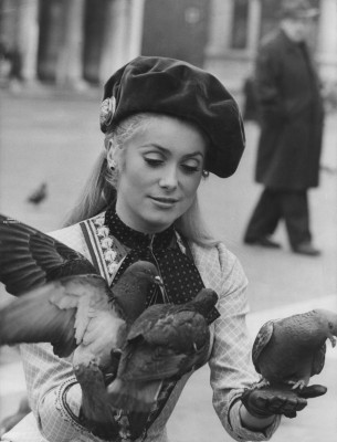 photo 6 in Deneuve gallery [id463001] 2012-03-21 00:00:00