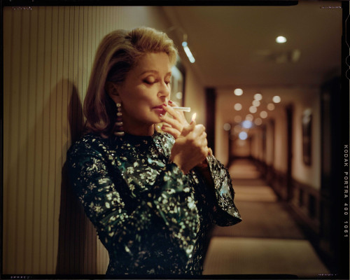 photo 8 in Catherine Deneuve gallery [id709665] 2014-06-18 00:00:00