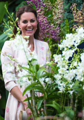 Catherine, Duchess of Cambridge pic #531576