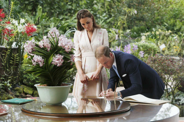 Catherine, Duchess of Cambridge pic #531566