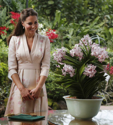 Catherine, Duchess of Cambridge pic #531567
