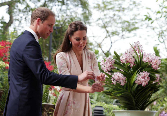 Catherine, Duchess of Cambridge pic #531563