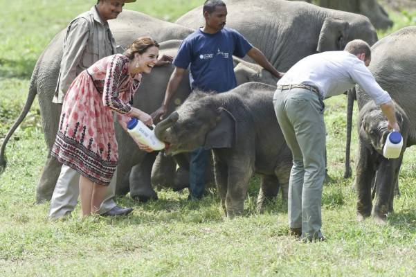 Catherine, Duchess of Cambridge pic #846968