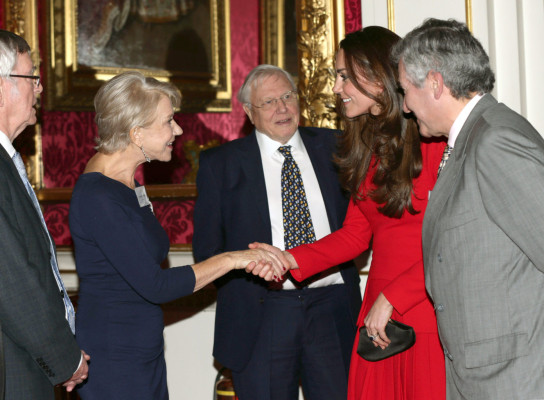 Catherine, Duchess of Cambridge pic #673953