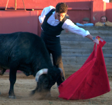 Cayetano Rivera pic #536954