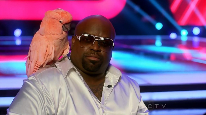 photo 3 in Cee Lo Green gallery [id532174] 2012-09-16 00:00:00