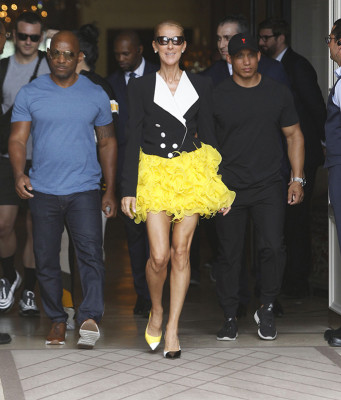 photo 8 in Celine Dion gallery [id1153994] 2019-07-19 00:00:00