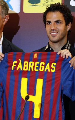 photo 29 in Fabregas gallery [id478295] 2012-04-20 00:00:00