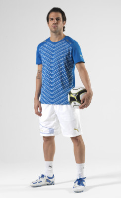 photo 13 in Fabregas gallery [id456863] 2012-03-06 00:00:00