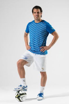 photo 16 in Fabregas gallery [id456860] 2012-03-06 00:00:00