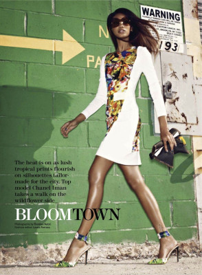 Chanel Iman pic #457863
