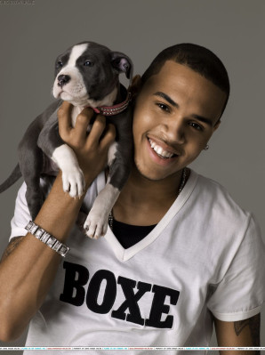 Chris Brown pic #119259