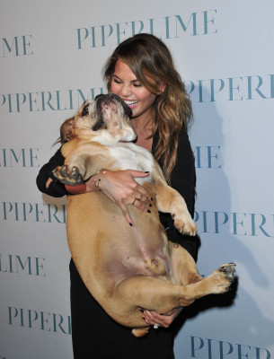 Christine Teigen pic #730537