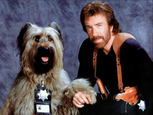 photo 6 in Chuck Norris gallery [id112820] 2008-10-22 00:00:00