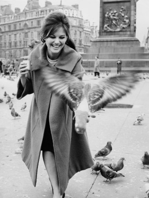Claudia Cardinale pic #355798