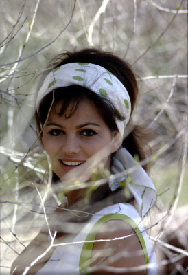 Claudia Cardinale pic #384458