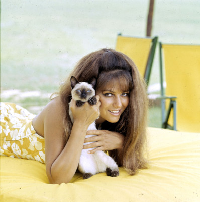Claudia Cardinale pic #136136