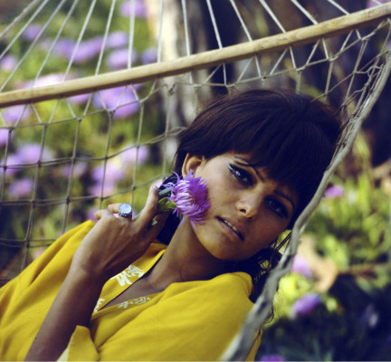 Claudia Cardinale pic #384777