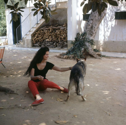 Claudia Cardinale pic #461780