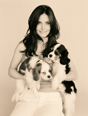 Courteney Cox pic #51638