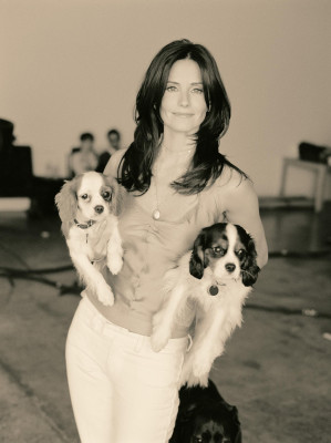 Courteney Cox pic #573891