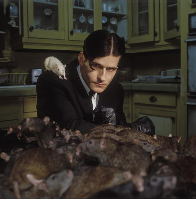 photo 4 in Crispin Glover gallery [id235183] 2010-02-11 00:00:00