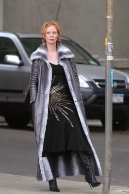 Cynthia Nixon pic #9072
