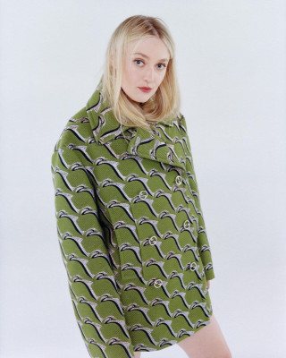 photo 15 in Dakota Fanning gallery [id1360218] 2024-11-14 00:00:00