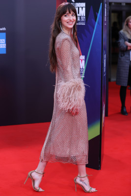 photo 18 in Dakota Johnson gallery [id1274711] 2021-10-15 00:00:00