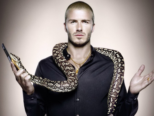 David Beckham pic #301031