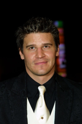 David Boreanaz pic #109108