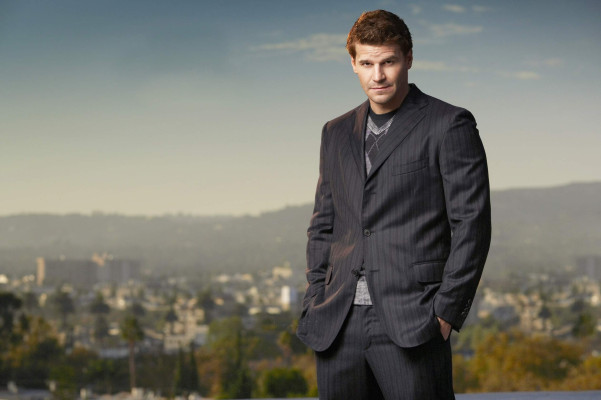 David Boreanaz pic #250280