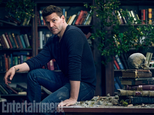 David Boreanaz pic #1254711