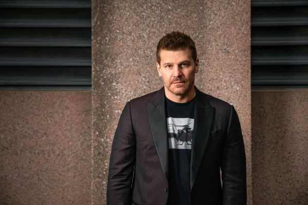 David Boreanaz pic #1268985