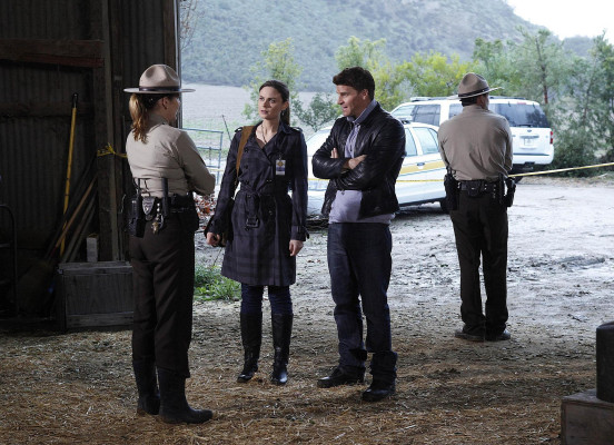 David Boreanaz pic #675668