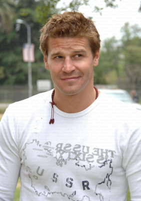 David Boreanaz pic #127240