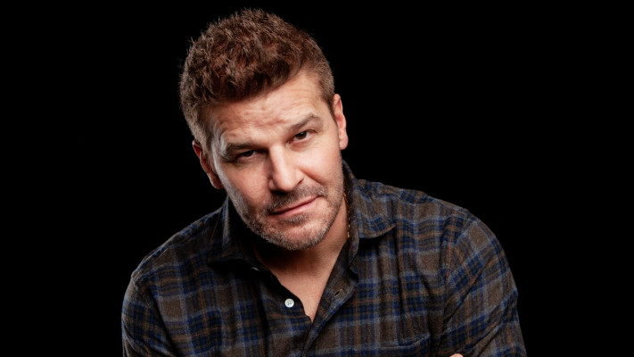 David Boreanaz pic #1264853