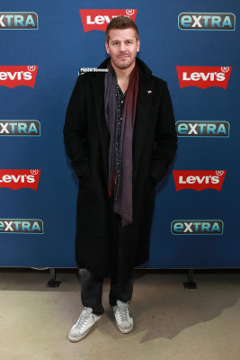 David Boreanaz pic #1259853