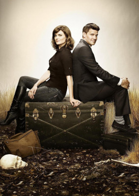 David Boreanaz pic #676494
