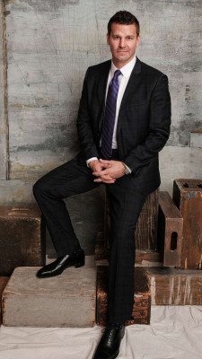 David Boreanaz pic #1261074