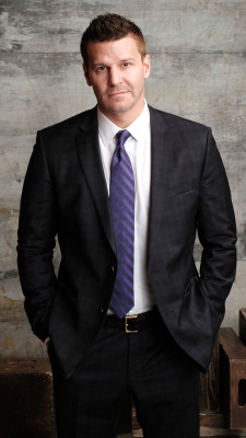 David Boreanaz pic #1261072