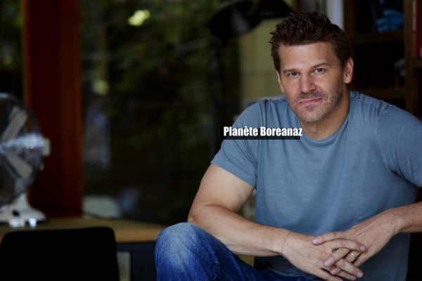 David Boreanaz pic #1277141