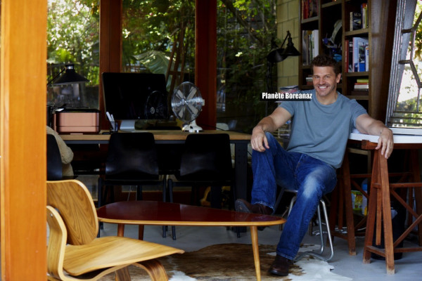 David Boreanaz pic #1277140