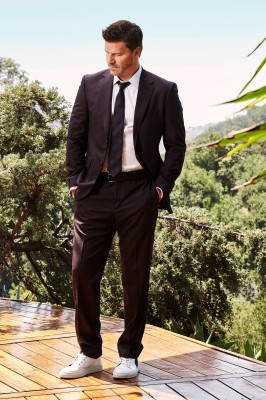 David Boreanaz pic #1253556
