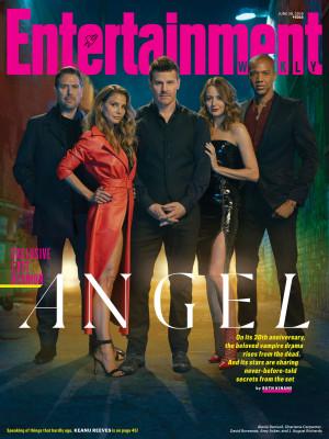 David Boreanaz pic #1256610