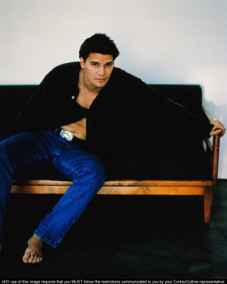 David Boreanaz pic #1264591