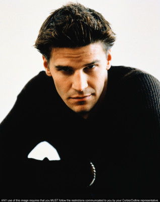 David Boreanaz pic #1264590