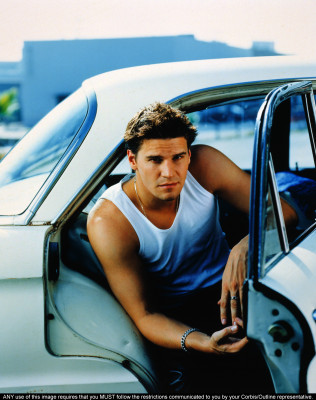 David Boreanaz pic #1264587