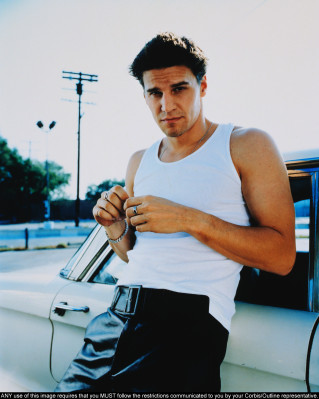 David Boreanaz pic #1264586