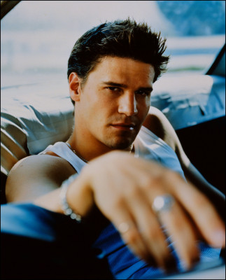 David Boreanaz pic #1264593